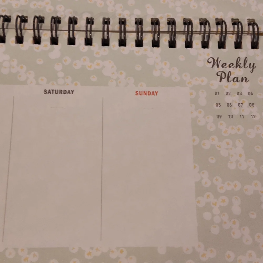 NEW! Daily Weekly Pad (Stay Organized)
